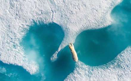 بهترین عکس‌های هوایی منتشره در سال 2017 میلادی