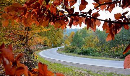 طبیعت پاییزی چهاردانگه ساری