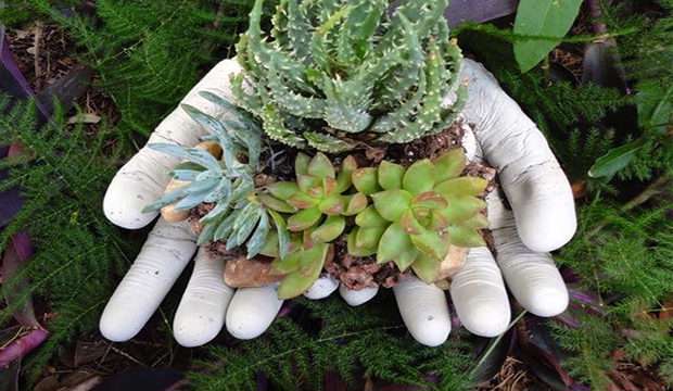 گلدان های سیمانی زیبا بسازید