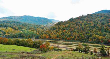 طبیعت پاییزی چهاردانگه ساری