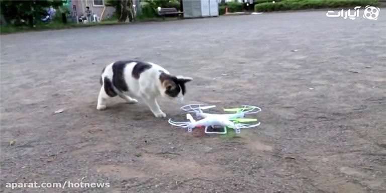 کلیپ خنده دار درگیری حیوانات با هلی شات