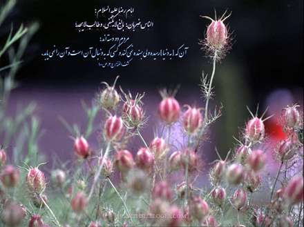 حدیثی از امام رضا