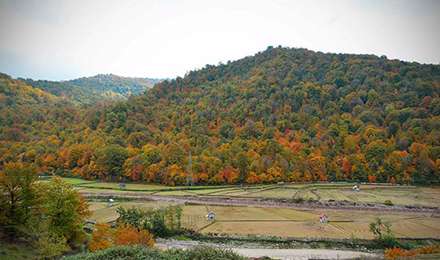 طبیعت پاییزی چهاردانگه ساری