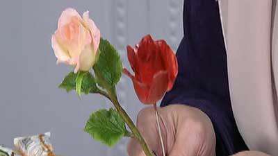 گل رز کوچک/1