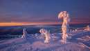 کشف دایناسورهای یخی در فنلاند