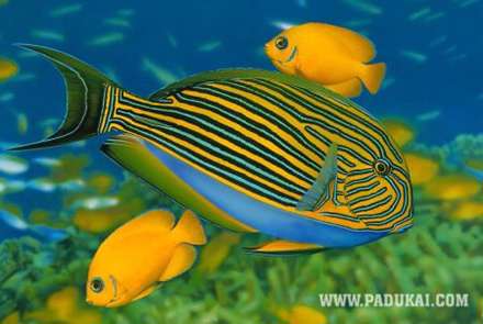 نقاشی های بی نظیر و دیدنی خدا!