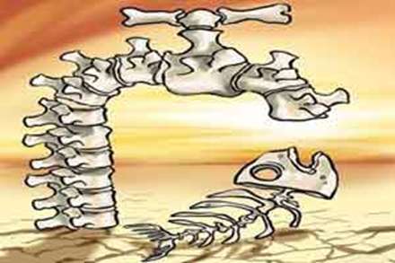 کاریکاتورهای جالب و خنده دار فاجعه کم آبی در ایران
