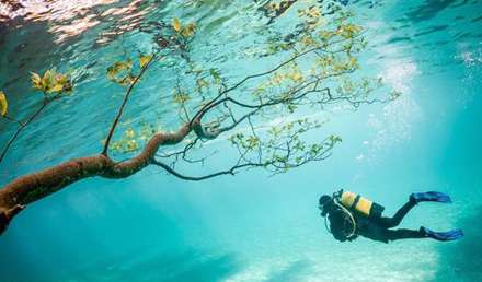 تصاویری دیدنی از پارک زیر آب در اتریش