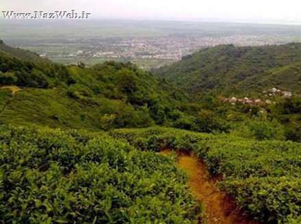 معرفی و عکس های دیدنی لیلا کوه