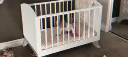 خارج شدن جادویی کودک از میان نرده های تختخوابش!