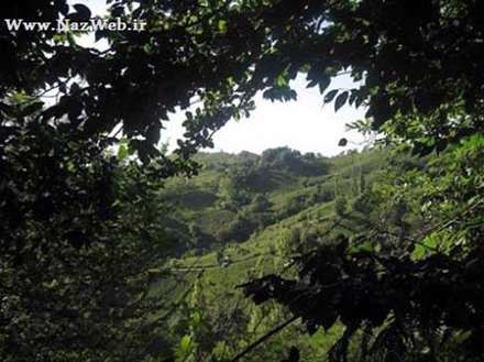 معرفی و عکس های دیدنی لیلا کوه