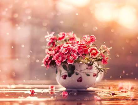 دنیای لطیف گل‌ها در آثار Arefin