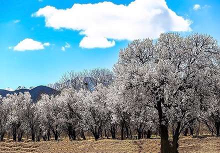 طبیعت بهار در این عکسها پیداست
