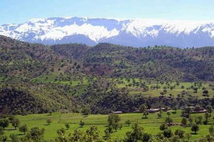 طبیعت بهار در این عکسها پیداست