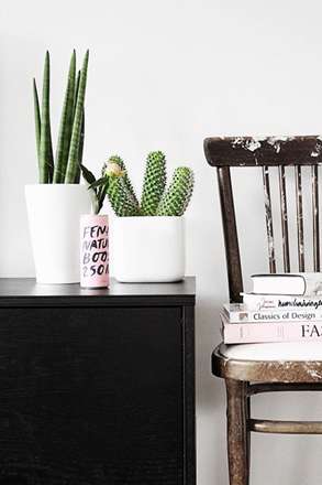 برای خوشگلسازی گلدونها چیکار کنیم