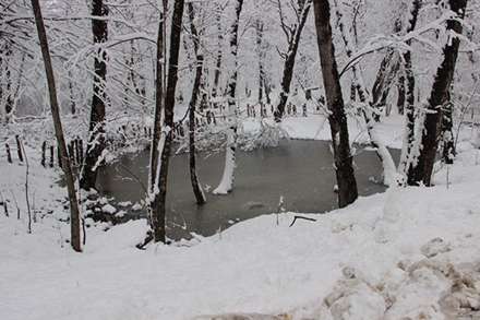 عکسهای بارش برف در پاییز