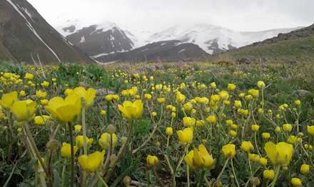 طبیعت بهار در این عکسها پیداست