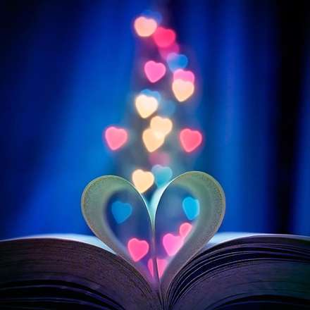 دنیای لطیف گل‌ها در آثار Arefin