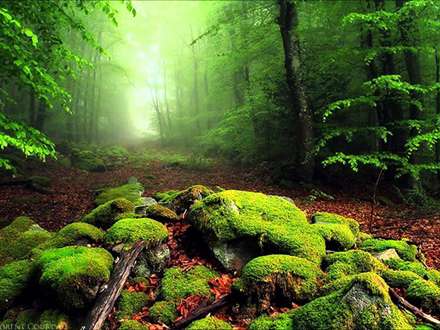 تصاویر، دنیایی متفاوت را به نمایش می‌گذارند