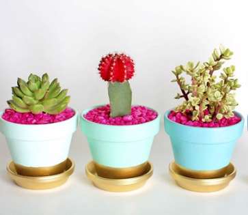 خلاقیت در درست کردن گلدان