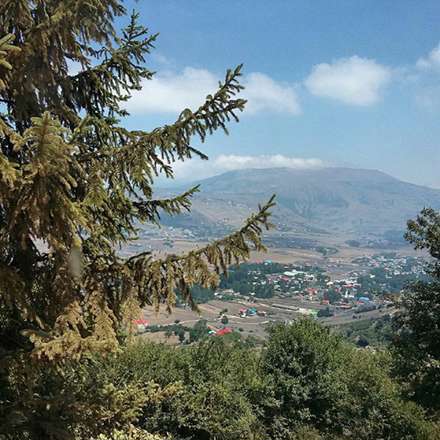 تصاویری از جنگل کلاردشت
