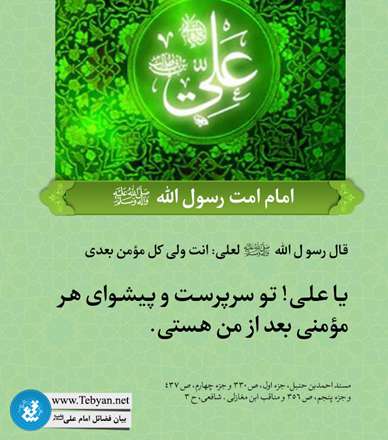 فضیلت امام علی: امام امت رسول الله