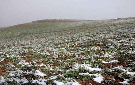 تصاویری از برف بهاری داماش گیلان