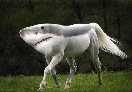 خلق حیوانات ترسناک ترکیبی با فتوشاپ