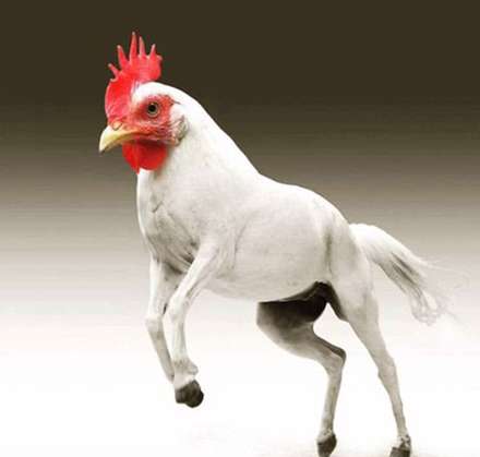 خلق حیوانات ترسناک ترکیبی با فتوشاپ