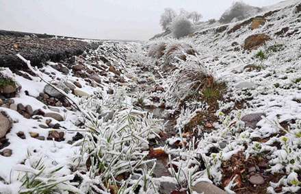 تصاویری از برف بهاری داماش گیلان