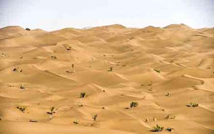 تصاویر دیدنی از کویر لوت