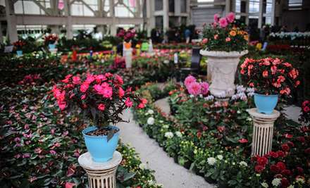 شانزدهمین نمایشگاه بین‌المللی گل و گیاه تهران