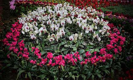 شانزدهمین نمایشگاه بین‌المللی گل و گیاه تهران