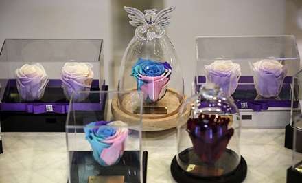 شانزدهمین نمایشگاه بین‌المللی گل و گیاه تهران