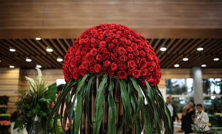 شانزدهمین نمایشگاه بین‌المللی گل و گیاه تهران