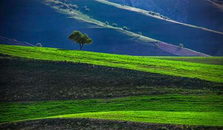 تصاویر دیدنی از بهار کلات خراسان