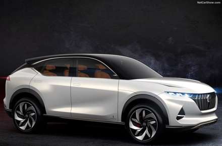 شاسی بلند زیبای پنین فارینا