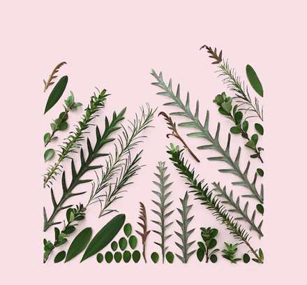 هنر از جنس مواد ارگانیک