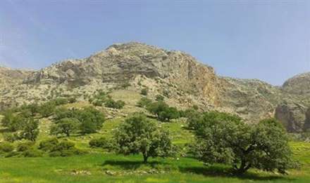 آیا شیمن را می شناسید