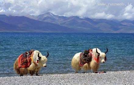 عکس هایی از آرامش بخش ترین مناطق جهان