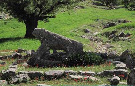 آیا شیمن را می شناسید