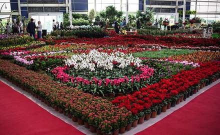 شانزدهمین نمایشگاه بین‌المللی گل و گیاه تهران