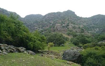 آیا شیمن را می شناسید