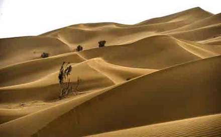 تصاویر دیدنی از کویر لوت
