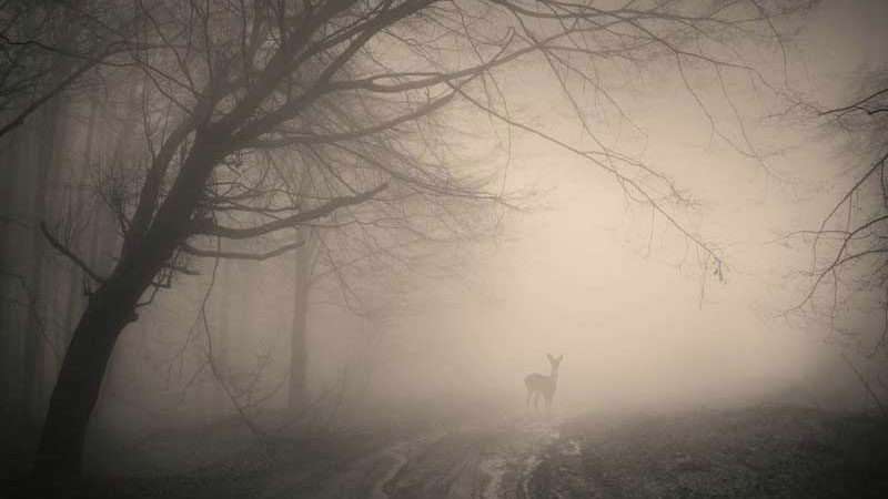 6 منطقه خوفناک و مرموز در ایران