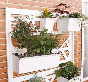 طرز ساخت گلخانه به کمک چند قاب عکس