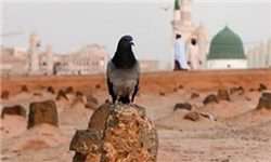 اولین حضور زائران ایرانی حج 97 در قبرستان بقیع