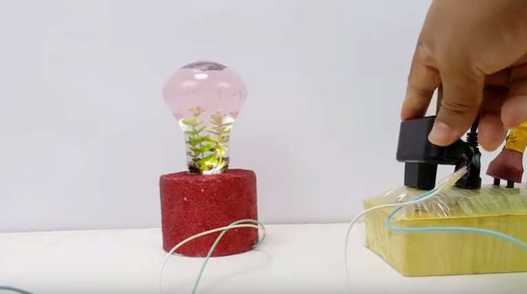 آکواریومی زیبا با کمک همسرتان بسازید