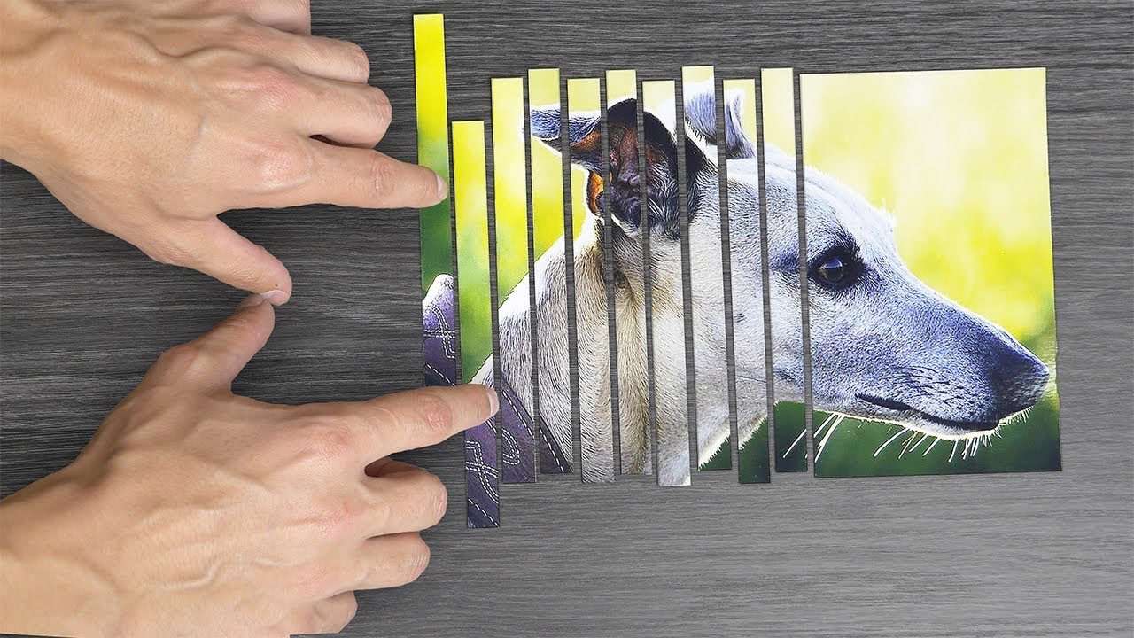 ۱۷ آزمایش که شما را شگفت زده می‌کند!