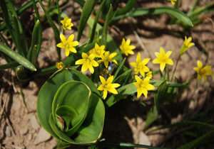 فیلم/ طبیعت چشم‌نواز 'اشکورات' در گیلان
